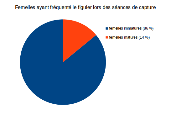 Silba adipata McAlpine : proportion des femelles matures (non pondeuses) ayant fr�quent� le figuier (2025).